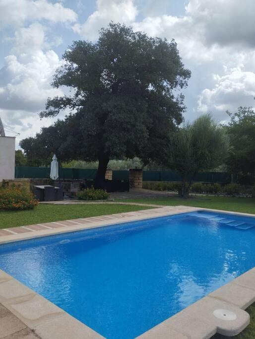 Can Bandris Villa Situada A 2 Minutos Pollensa. Kültér fotó