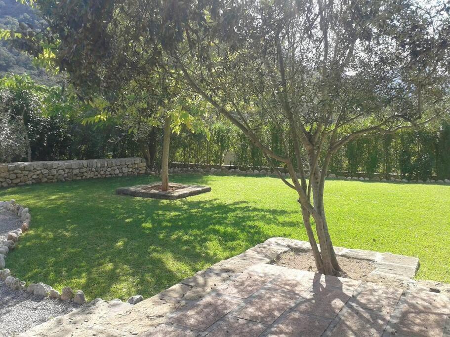 Can Bandris Villa Situada A 2 Minutos Pollensa. Kültér fotó